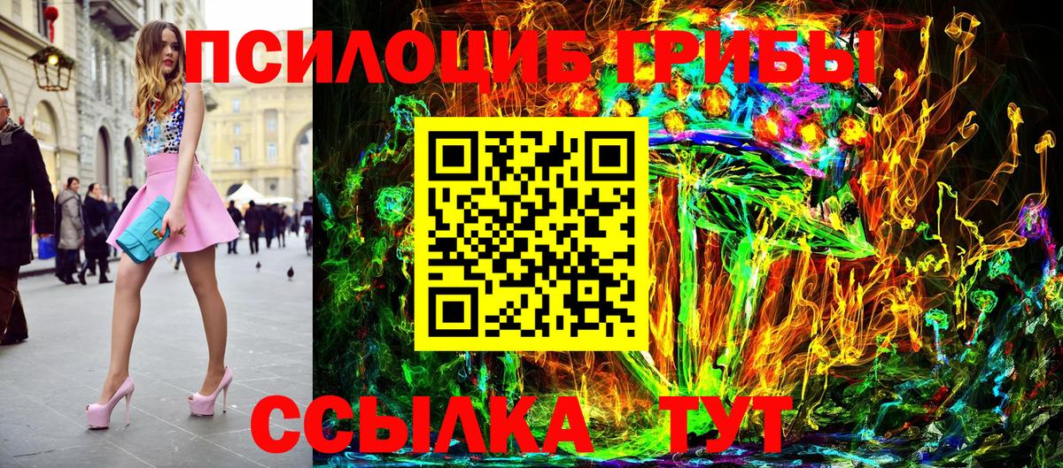 Псилоцибиновые грибы GOLDEN TEACHER  Вход с VPN  Кольчугино 