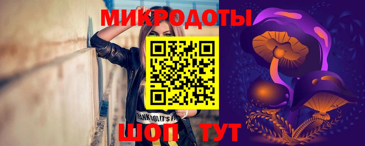 Галлюциногенные грибы Psilocybine cubensis Кольчугино